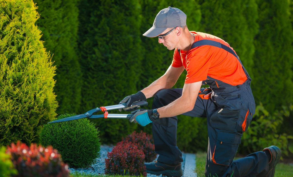 Garden Services Legal Issues Business, Gardening And Landscaping Services