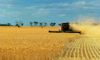 A combine harvester on an Australian farm