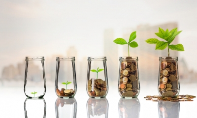 Glass pots with growing plants