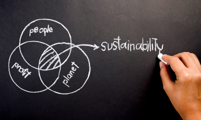 Introduce an environmental management system Sustainability diagram being drawn on a blackboard