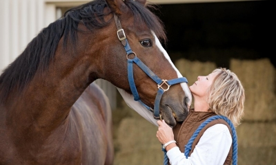 Livery Stable Legal Issues Business Law Donut