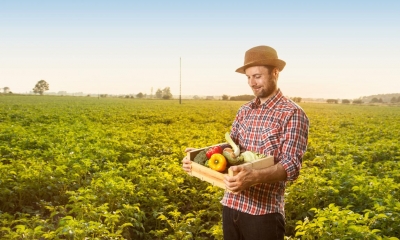 A farmer holing his produce on a sunny day at his organic farm