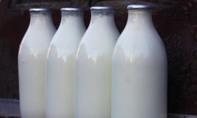 Four glass bottles of milk with black background