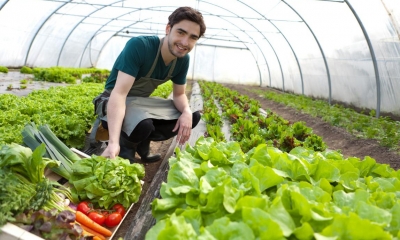 Young man attending his vegetables on his smallholding