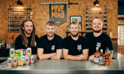 The team behind Hive Mind