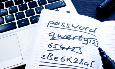 List of secure and unsecure password options