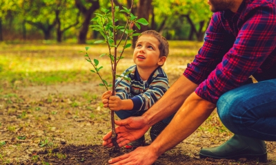 Boy planting young tree with a male adult